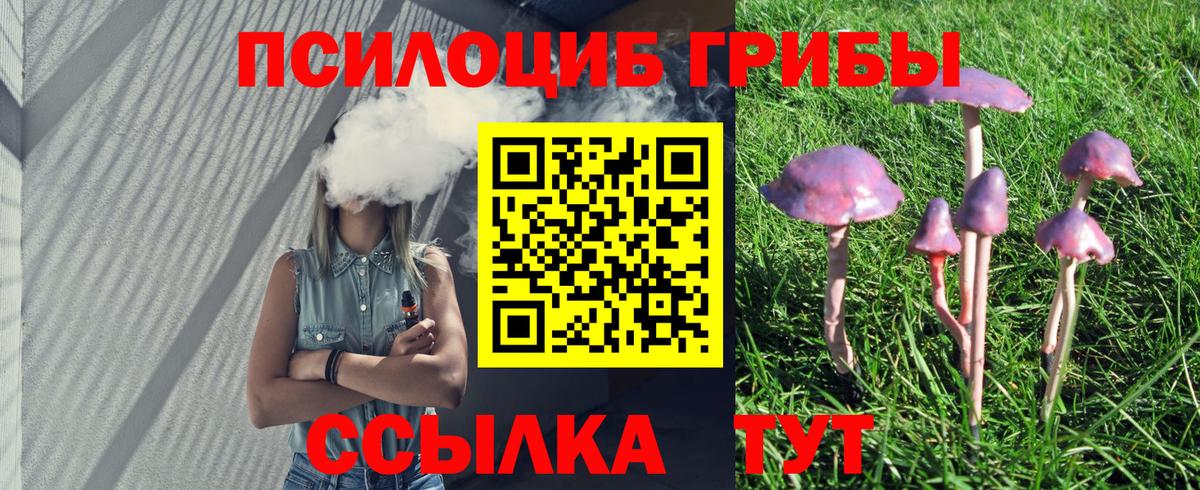 Псилоцибиновые грибы Cubensis  Вход с VPN  Партизанск 